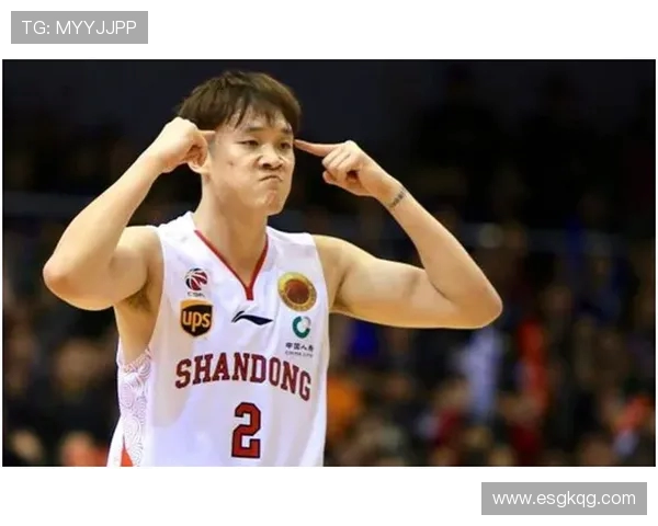 中国职业篮球CBA现役球员整体结构与选拔机制