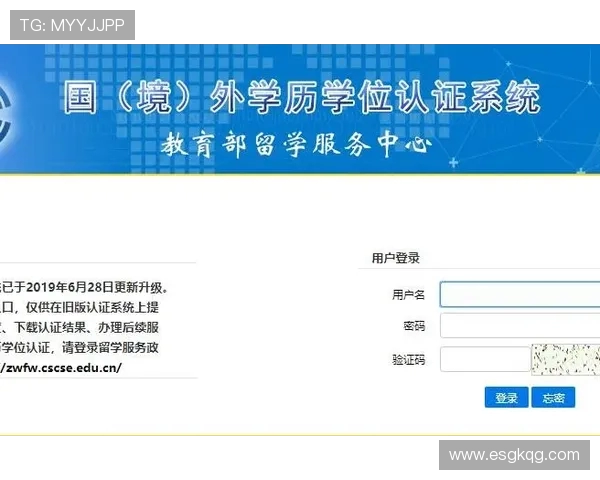 如何在国内观看西甲直播?VPN与正版平台对比